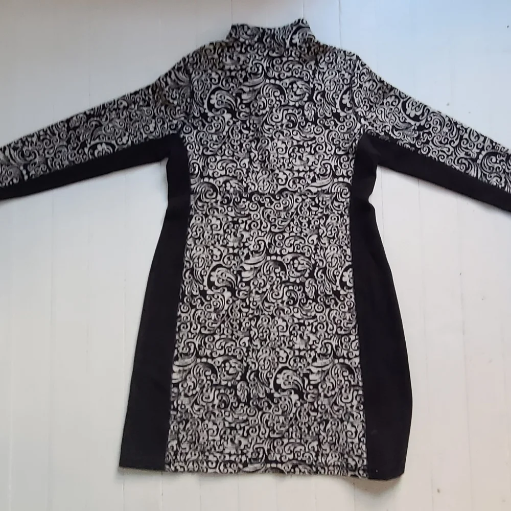 Sahalie "You've Lost Weight" Side Panel Dress - Picture 2 of 4